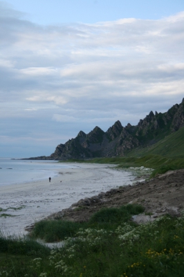 IMG_8663.jpg