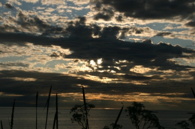 IMG_8666.jpg