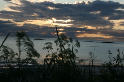 IMG_8670.jpg