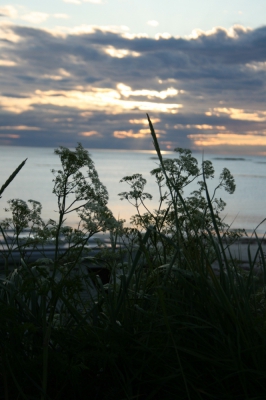 IMG_8671.jpg