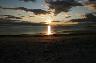 IMG_8683.jpg