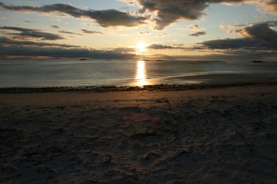 IMG_8684.jpg