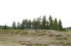 Filename=IMG_8588.jpg
Filesize=378KiB
Dimensions=1000x665
Date added=Jul 14, 2013 IMG_8588.jpg