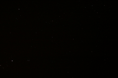 IMG_8339.jpg