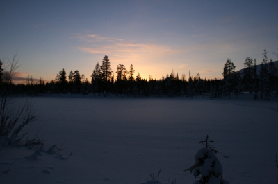 IMG_8348.jpg