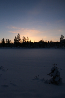 IMG_8349.jpg