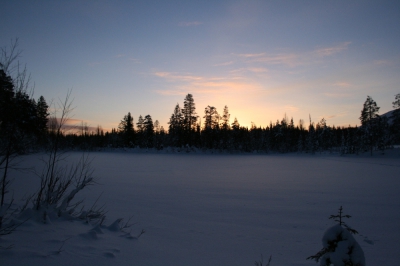IMG_8353.jpg