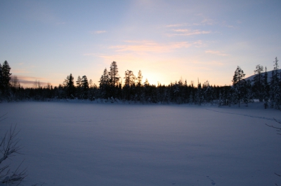 IMG_8358.jpg