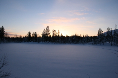 IMG_8359.jpg