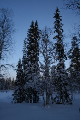 IMG_8365.jpg