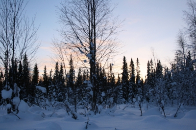 IMG_8379.jpg