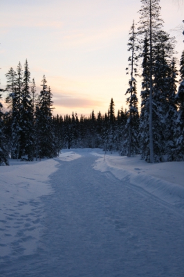 IMG_8387.jpg