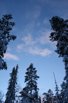 IMG_8412.jpg