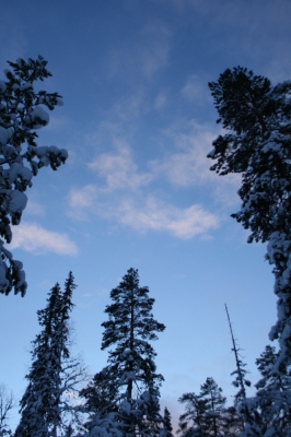 IMG_8413.jpg