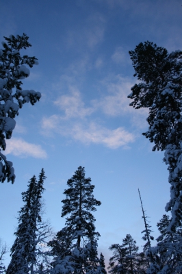 IMG_8414.jpg