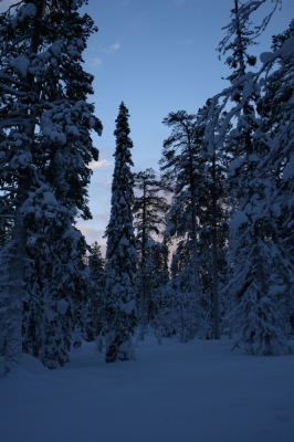 IMG_8415.jpg