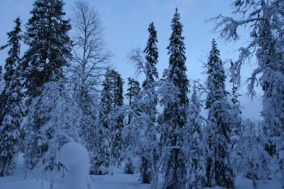 IMG_8416.jpg