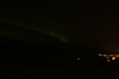 IMG_8424.jpg