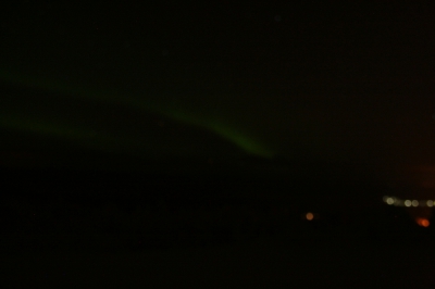 IMG_8425.jpg