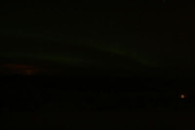 IMG_8427.jpg