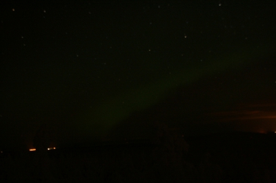 IMG_8442.jpg