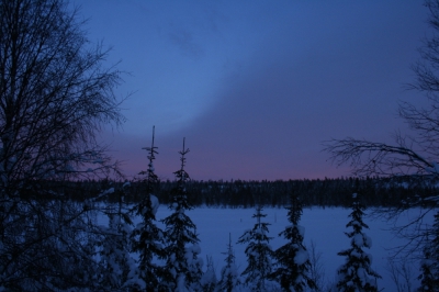 IMG_8501.jpg