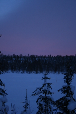 IMG_8503.jpg