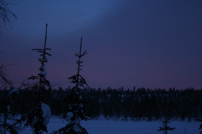 IMG_8504.jpg
