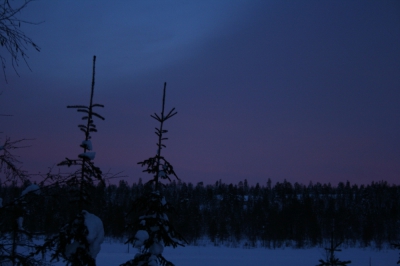 IMG_8505.jpg