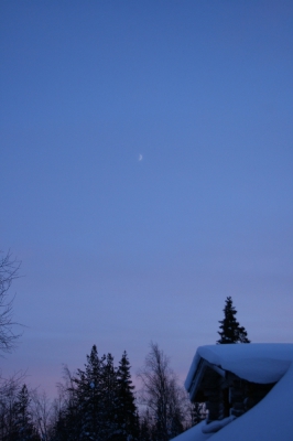 IMG_8508.jpg