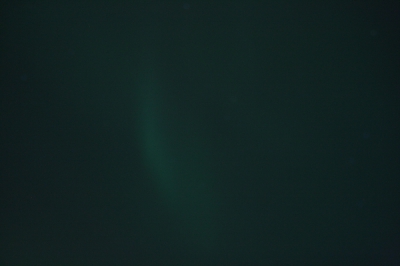 IMG_8527.jpg