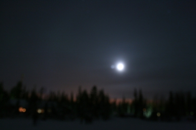 IMG_8529.jpg