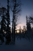 IMG_8361.jpg