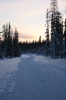 IMG_8387.jpg