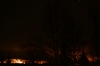 IMG_8462.jpg