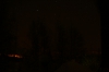 IMG_8463.jpg