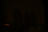 IMG_8464.jpg