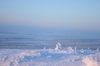 IMG_8476.jpg