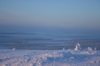IMG_8478.jpg