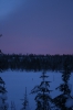 IMG_8502.jpg