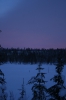 IMG_8503.jpg