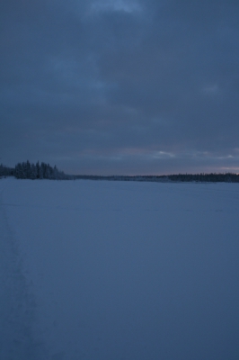 IMG_8751.jpg