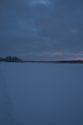 IMG_8752.jpg