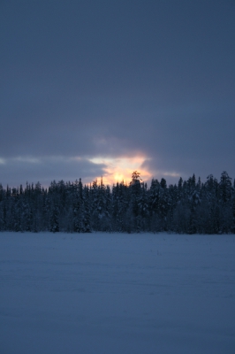 IMG_8756.jpg