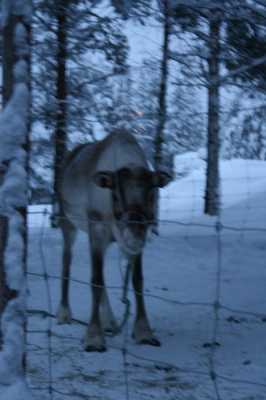 IMG_8758.jpg