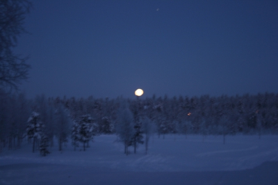 IMG_8813.jpg