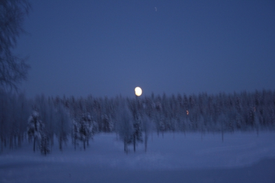 IMG_8814.jpg