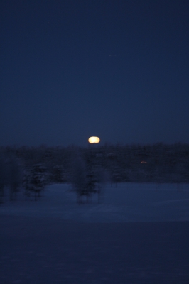 IMG_8815.jpg