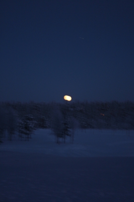 IMG_8816.jpg