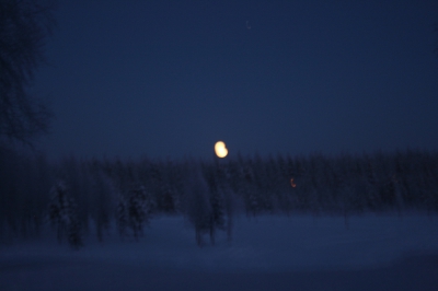 IMG_8817.jpg